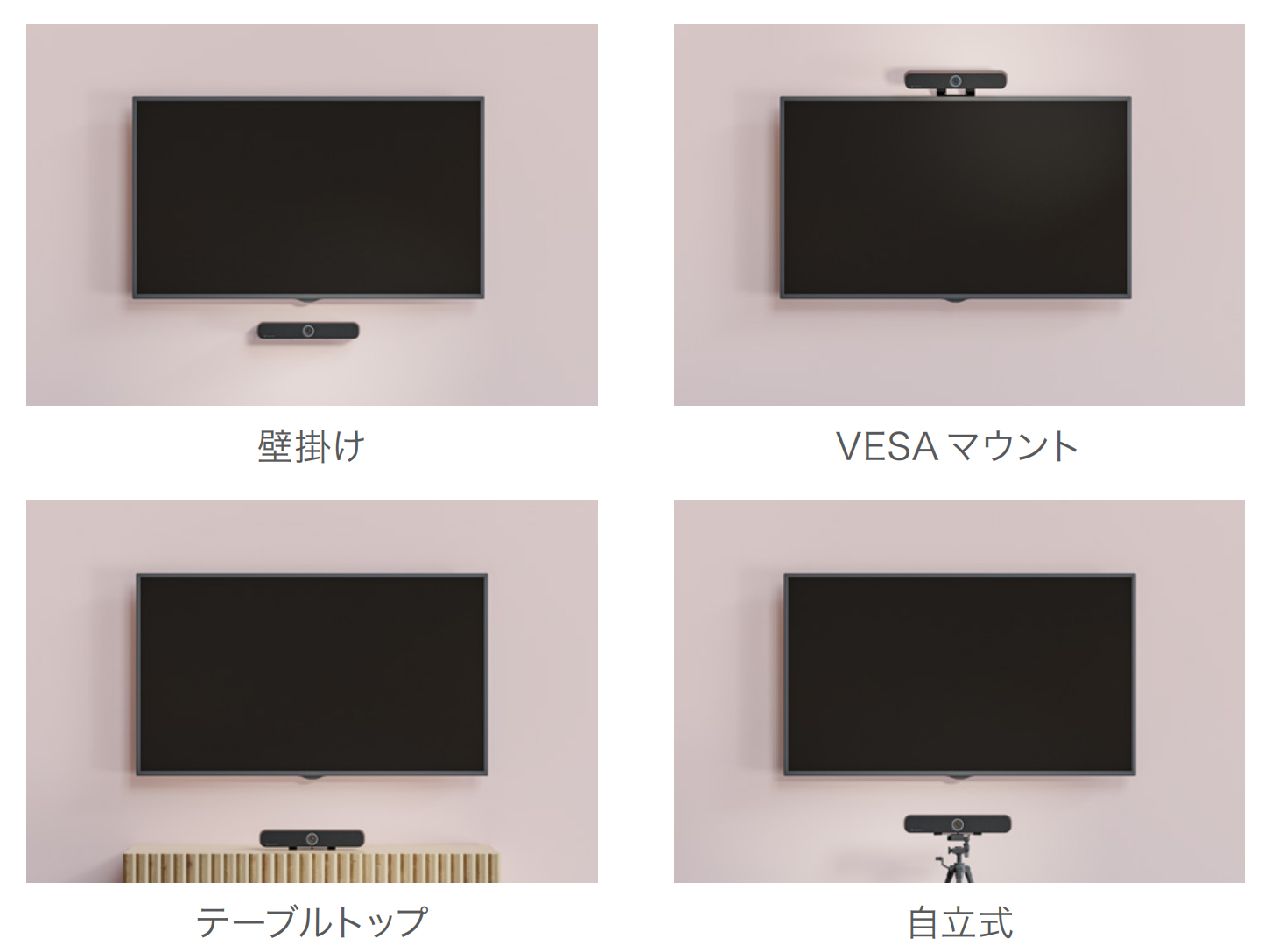 TeamConnect Bar S 取り付けオプション