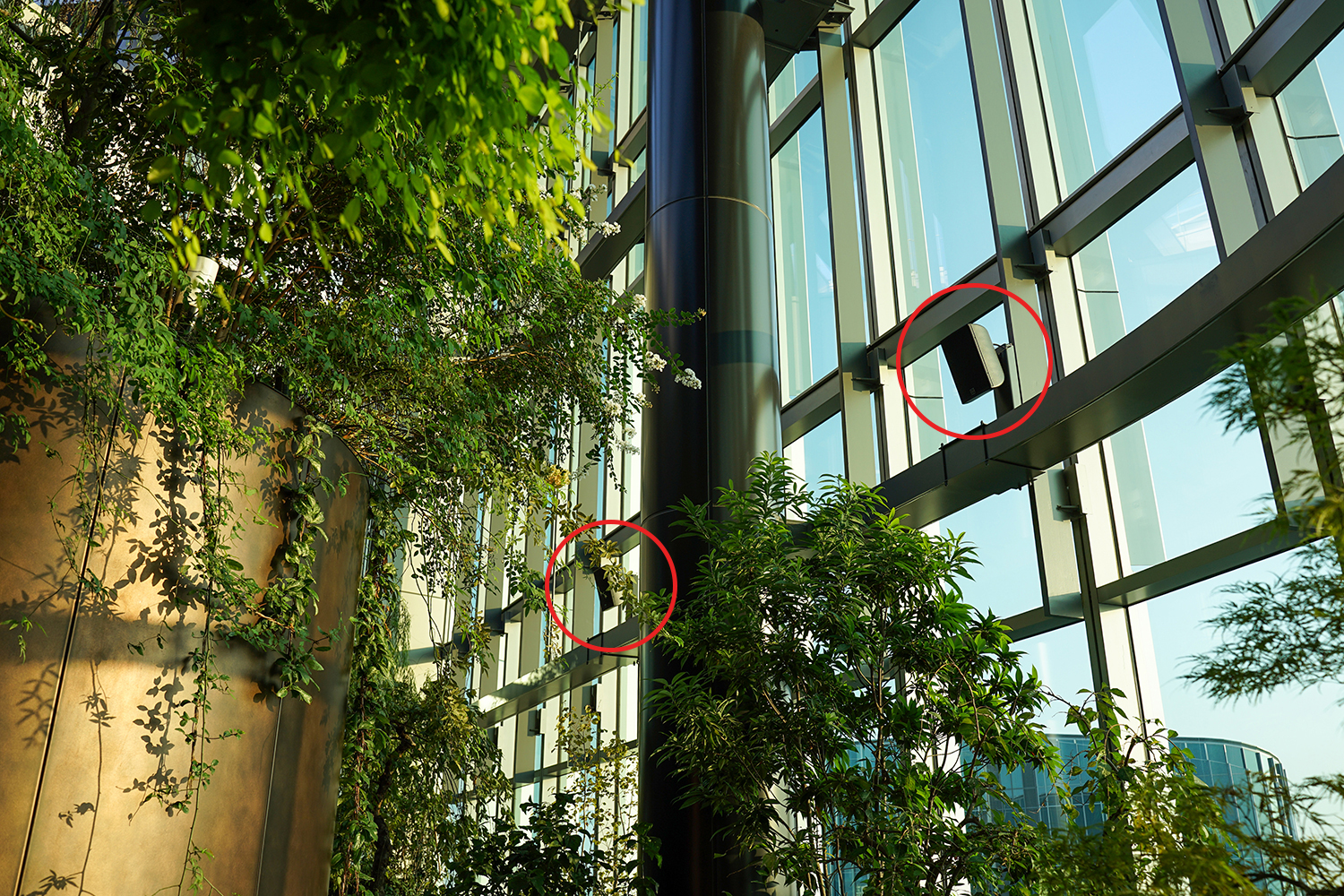 Martin Audio「CDD8B-WR」