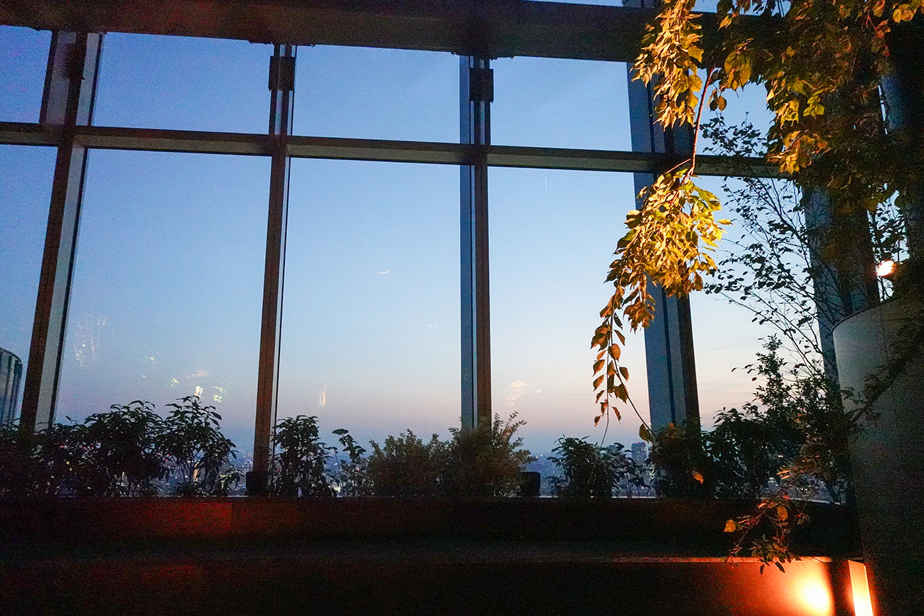 「翠の庭」のベンチからの眺め