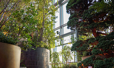 ニュウマン高輪